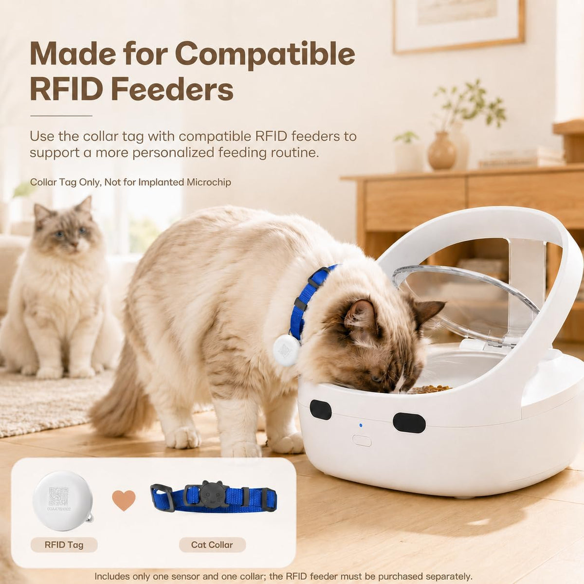 RFID-Sensor und Halsband für RFID-Katzenfutterautomat, 1 Set