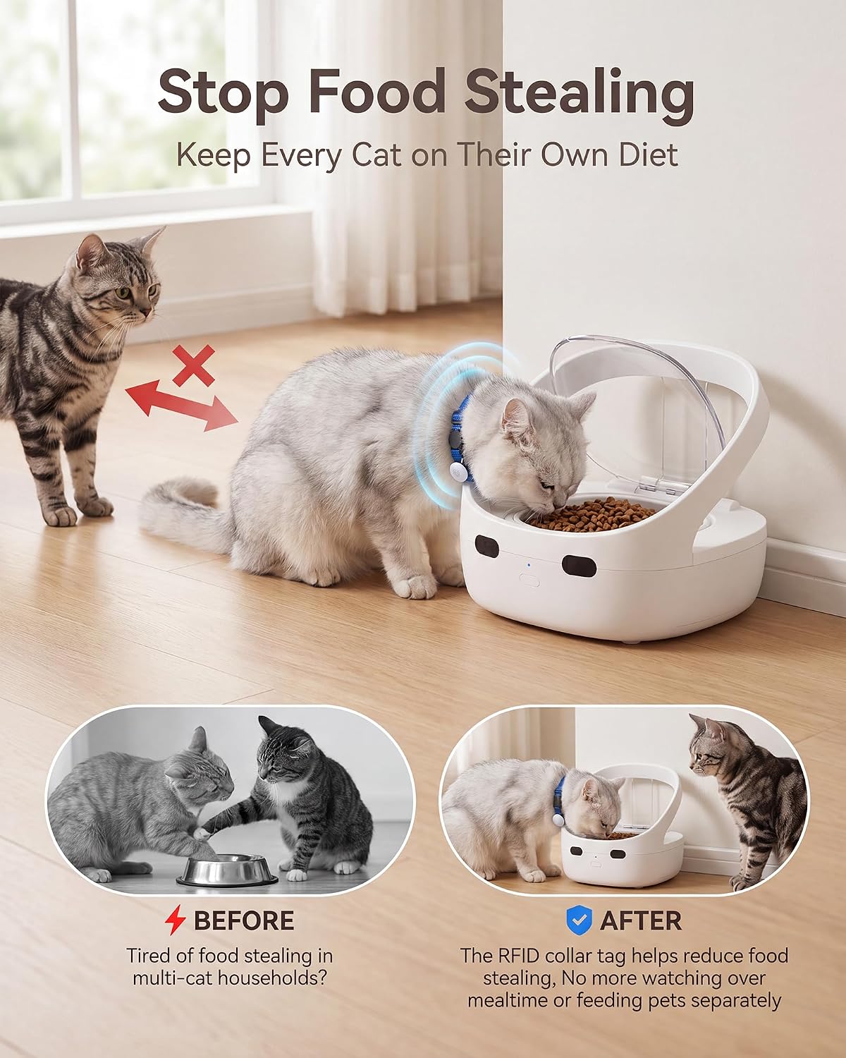 RFID Collar Cat Feeder for Multi-Cat Homes, Helps Reduce Stealing